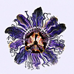 PILLOW FIGHT (Clean)