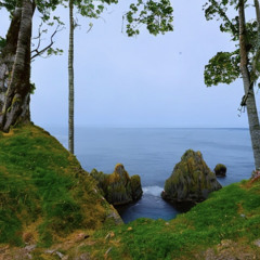 Mystery Island