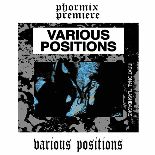 Premiere: Various Positions - Technical Terror [GRTW010]