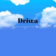 Driwa - kardic Ft. ttsmusic mp3