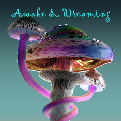 Awake & Dreaming