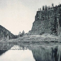 Poema, Free from freedom  (from Que tus ojos no se cansen de brillar)