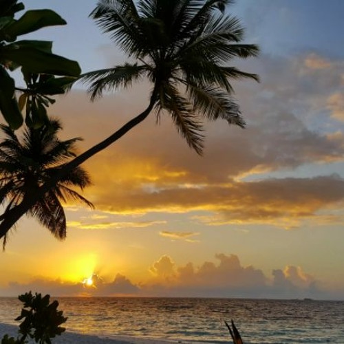 808mafiatypebeat2021 background sleep music DOWNLOAD