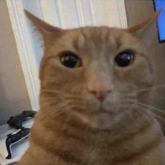 Pump it up kitty (full version) (256  kbps).mp3