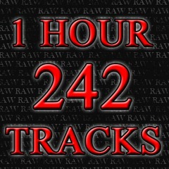 The Ultimate Raw Mix | 242 tracks in 1 Hour