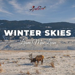 Liam MacLean - Winter Skies