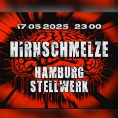 Vinylmullet @Hirnschmelze Vinyl Set Live rec.