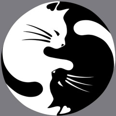 meia preta meia branca (o 01 melhorado)