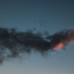 Marco Lucchi_Soliloquy