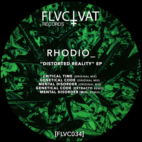 Premiere: RHODIO_ - Critical Time [FLVC034]
