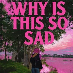 is this how i feel? (Prod.byCian x ay0ley)