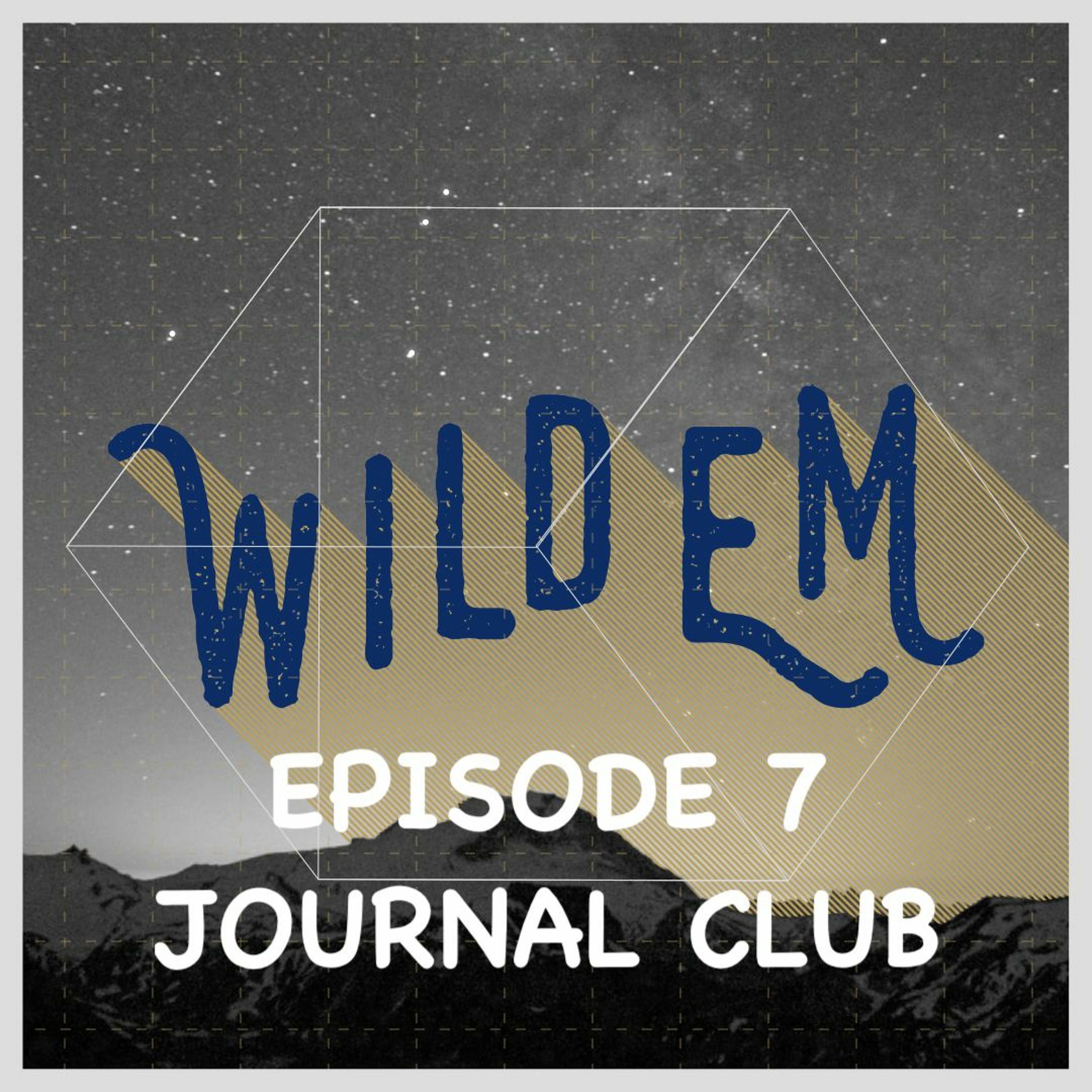 Artwork for WildEM the Wilderness Medicine Podcast