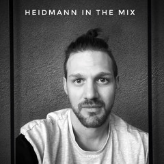 Heidmann in the Mix (Only Vinyl Edition)