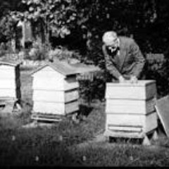 Who Makes The Honey?(featuring Olya)