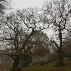 Adam song cover. better with headphones. blown my phone recorder from using it too much