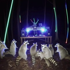 Episode 002: Wonky Slush