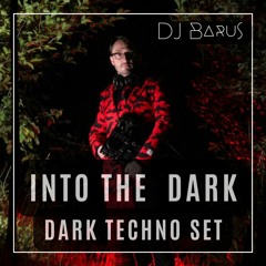 INTO THE DARK - Thuringian Forest Sunset Session DJ Set (full set on youtube!)