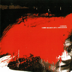 Thirty Seconds Until Armageddon - Lost