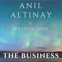 Anil Altinay x Naja - The Business (Tiesto Cover)
