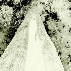 777 Freesty (no mix) (Prod. Sauron)