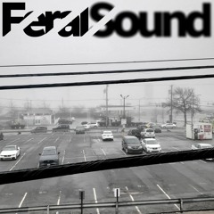 Feral Sound New Year Special with Supplanter Melodelic and Fox - 01 Jan 2023