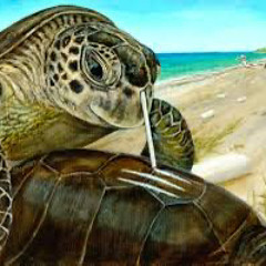 FIEN (1lyturtle Remix).wav