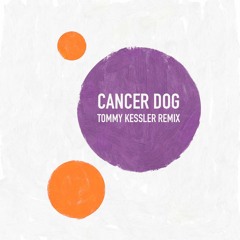 Cancer Dog by Miki Fiki (Tommy Kessler Remix)
