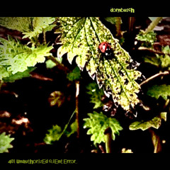 401 Unauthorized Client Error