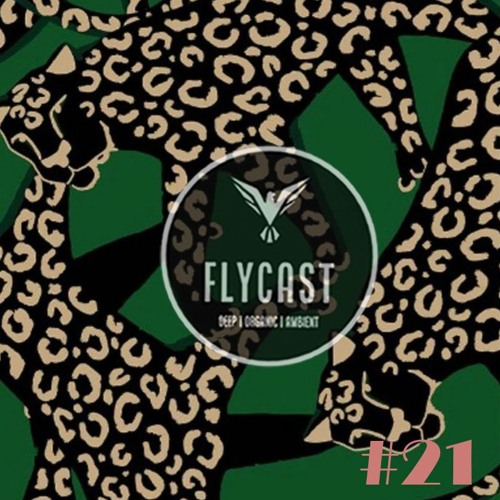 Flycast #21
