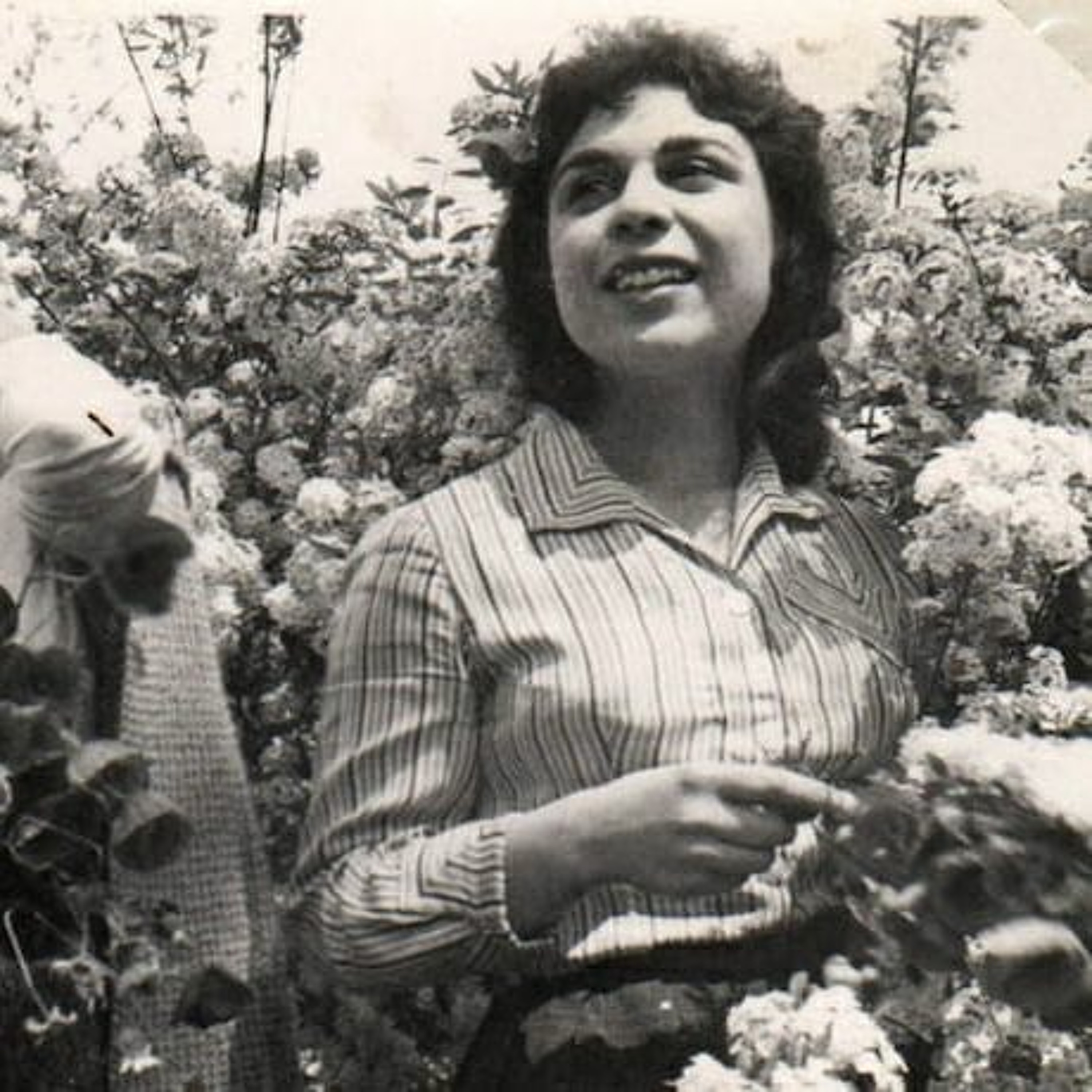 LA RADIO RADIEUSE EST UNE FEMME LIBRE