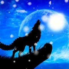 WHO IS THE WOLF?