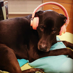 Kahlua