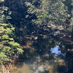 North Okinawa Massive