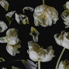 warum tut mein Herz weh/warum seh ich die Welt so