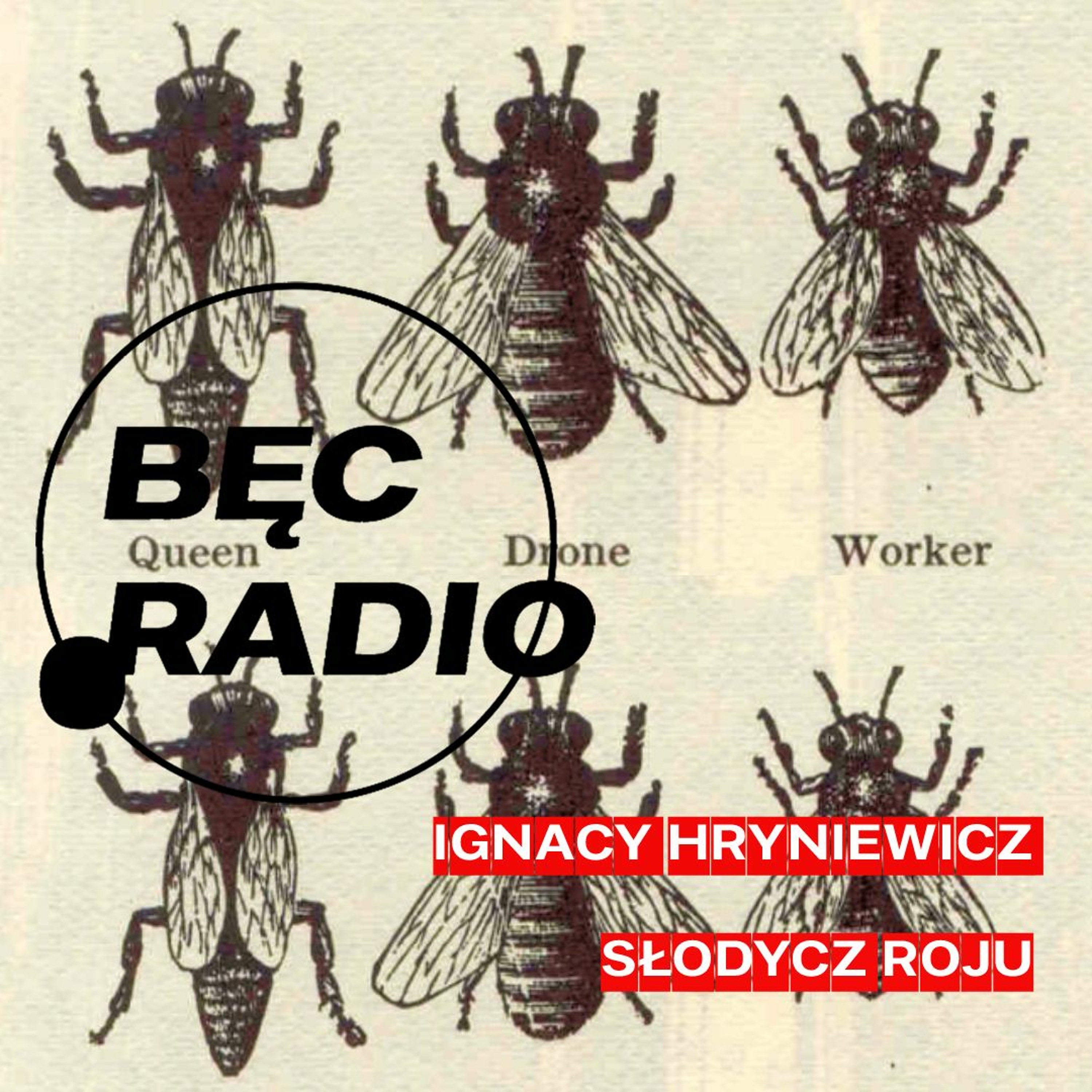 Bęc Radio