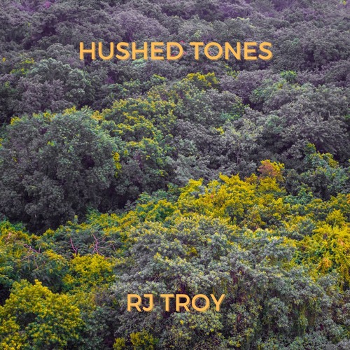 Stream Hushed Tones by RJ Troy | Listen online for free on SoundCloud