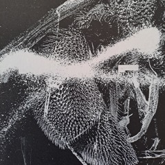 Digging through my vinyl collection volume 4 - Frequencies