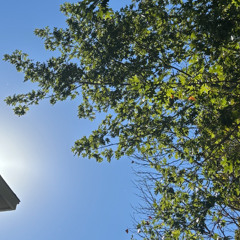 I Don't Care About Seeing My Grandma, I Just Wanna Go To Sheetz