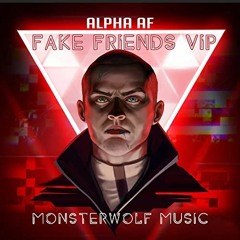 Fake Friends VIP