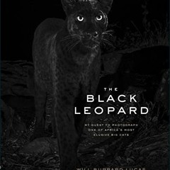 [VIEW] PDF EBOOK EPUB KINDLE The Black Leopard: My Quest to Photograph One of Africa’