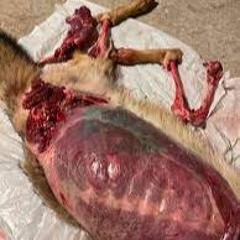 I HATE FUCKING PEOPLE