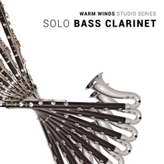 8DIo Warm Studio Woodwinds Bass Clarinet "Teide" By: Sergey Ivanov