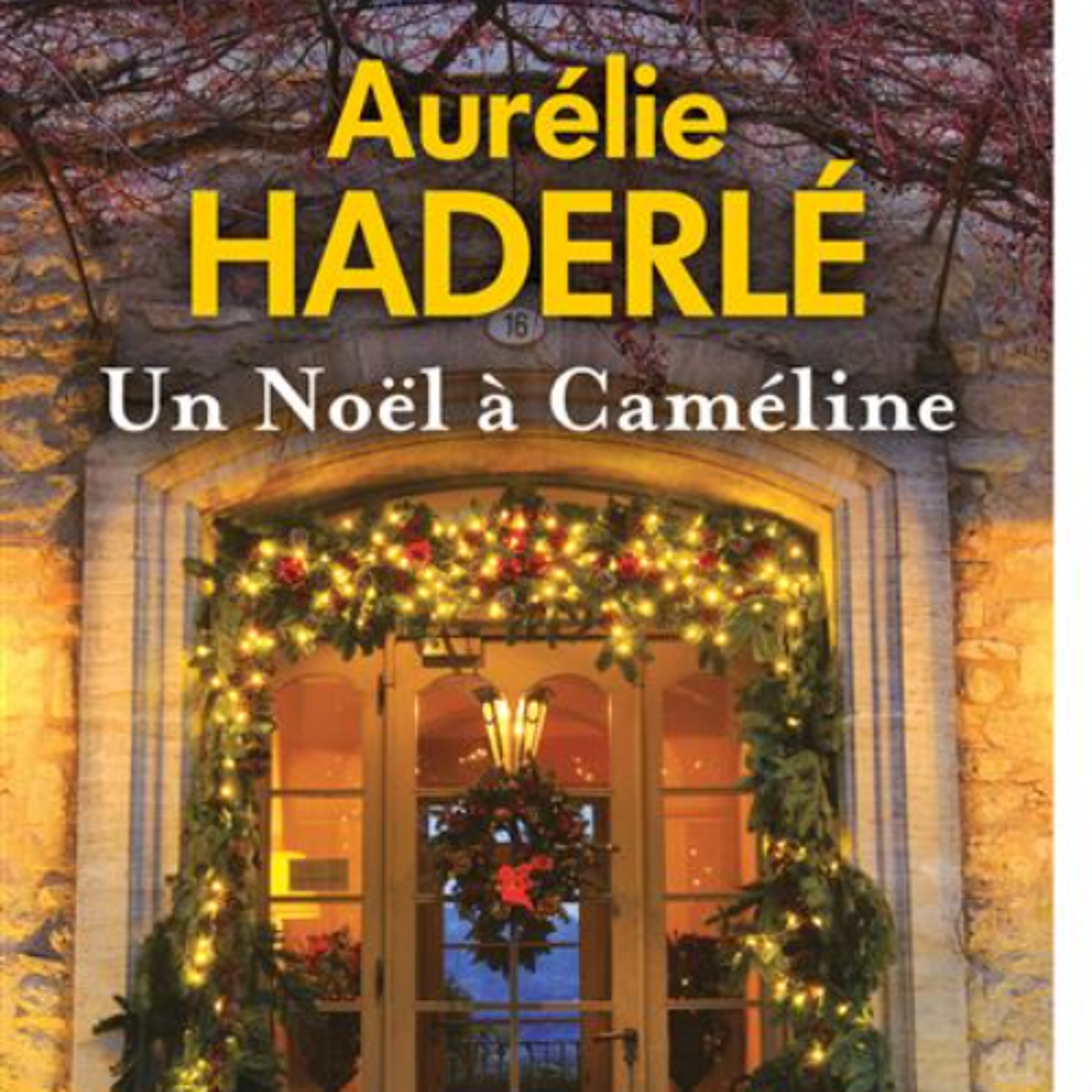 Emilie part en livres: Un Noel a Cameline (Aurelie Aderlé)
