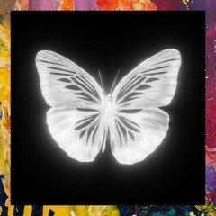 PREMIERE: FUERA — Mariposa (Original Mix) [fueraroom]