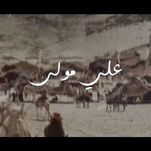 أحمد صديق - سيف علي