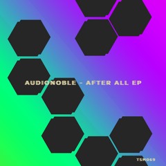 PREMIERE: Audionoble - After All (Original)/ TSM068 [Truesounds Music]