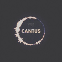 Johannes Wasikowski - INTRO//CANTUS I