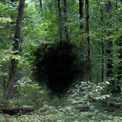 An expired model of thinking