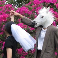 แสงแดดกับธารดวงดาว