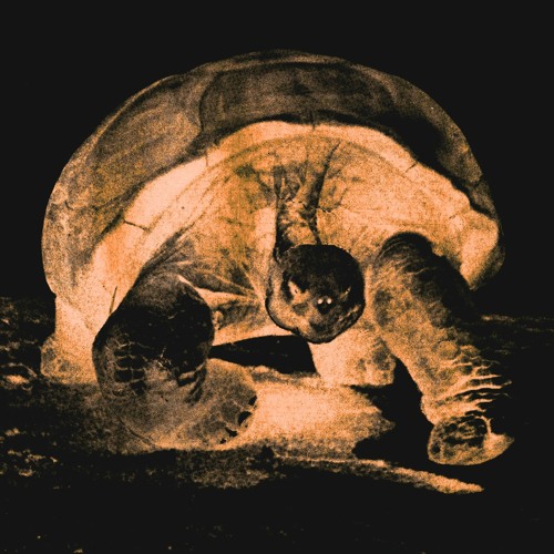 Stream NFL Cartel Bo Maxo Kream - Hoova (chopped) by alexrothstein